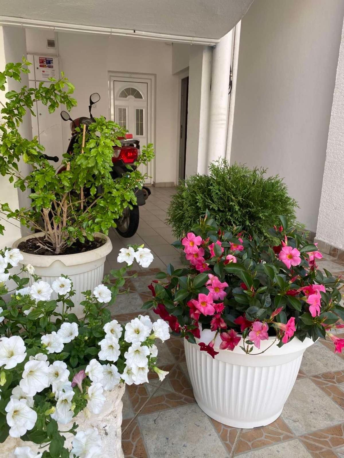 Jovanaa Appartement Budva