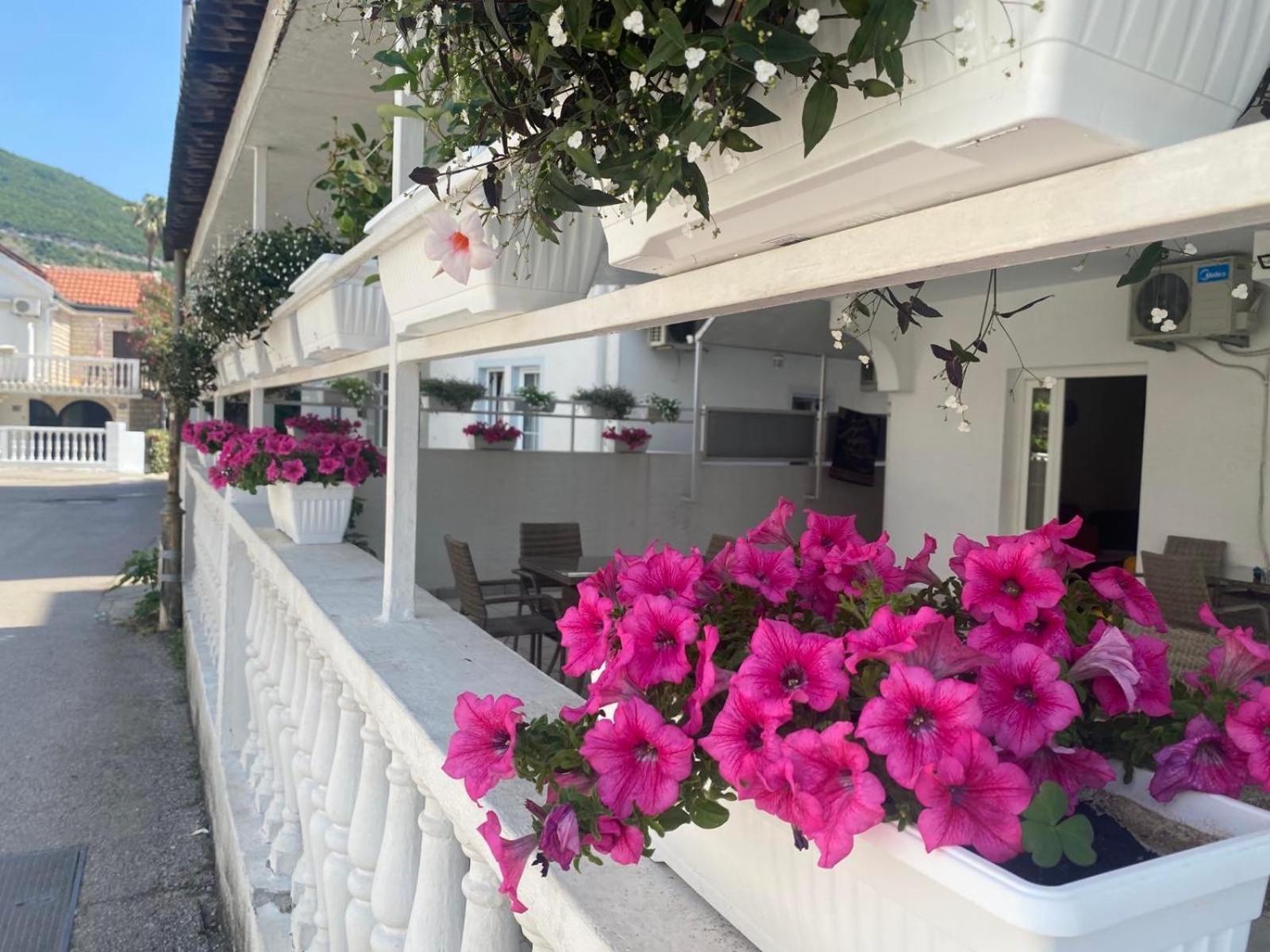 Appartement Jovanaa *